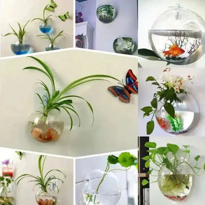 Buy 1 Get 1 Free | ClearNest™ — Elegant Glass Wall Planters Mivoza Deutschland