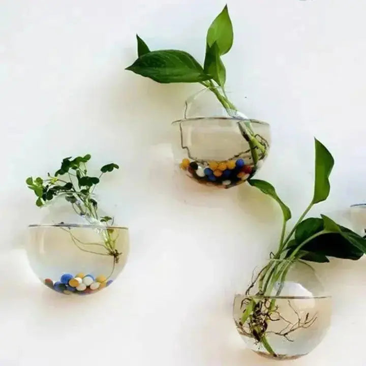 Buy 1 Get 1 Free | ClearNest™ — Elegant Glass Wall Planters Mivoza Deutschland