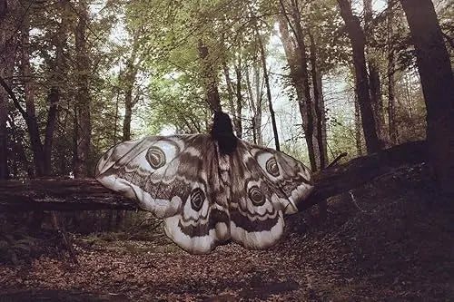 Elegant Grey Moth Cape – Perfect for Parties, Festivals & Photoshoots Homezys