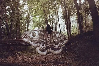 Elegant Grey Moth Cape – Perfect for Parties, Festivals & Photoshoots Homezys