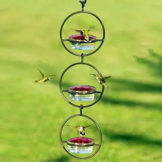 🎉Slim hummingbird feeder Zorenza