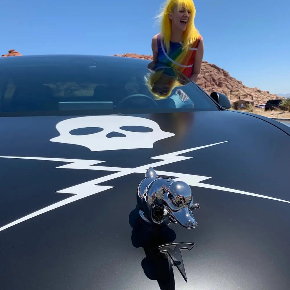 🔥 Angry Duck Hood Ornament Death Proof Zorenza