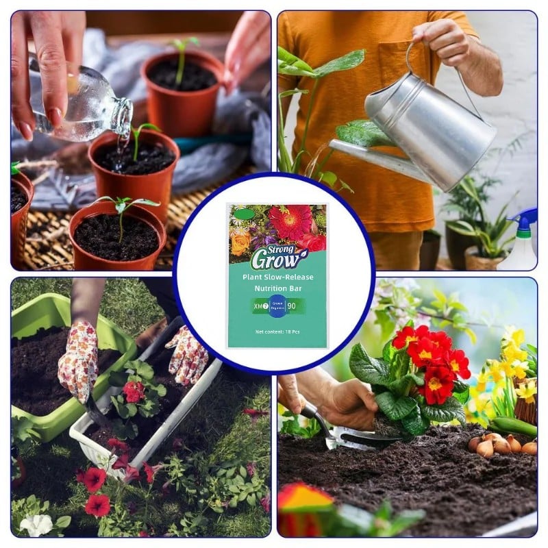 Plant Fertilizer Sticks – Long-Lasting Fertilizer for Healthy Growth Homezys
