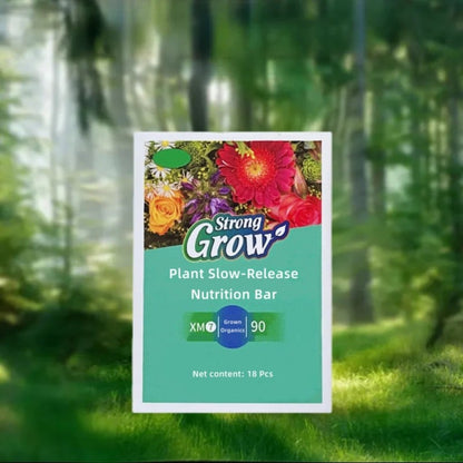 Plant Fertilizer Sticks – Long-Lasting Fertilizer for Healthy Growth Homezys