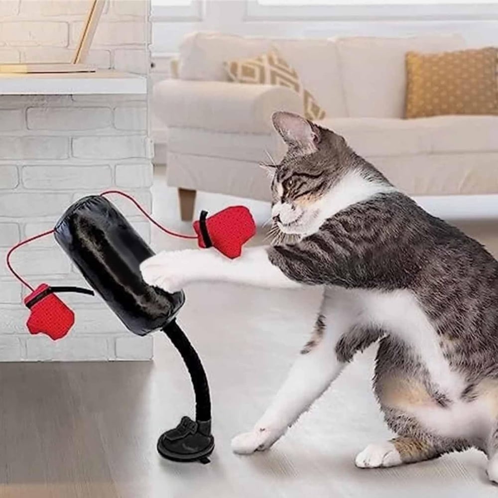 Cat Toy — Natural Hunting Instinct and Play Fun Homezys