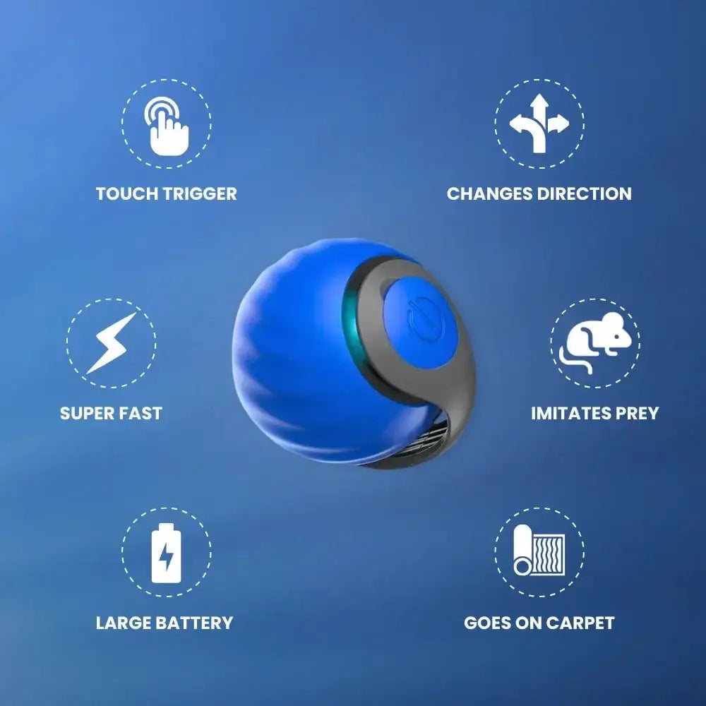🔥Interactive Electric Rolling Ball with Teasing Tail Zorenza