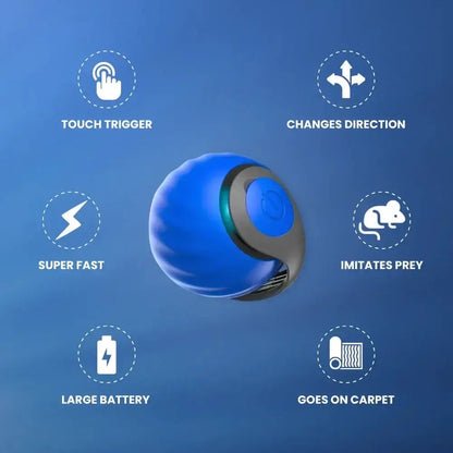🔥Interactive Electric Rolling Ball with Teasing Tail Zorenza