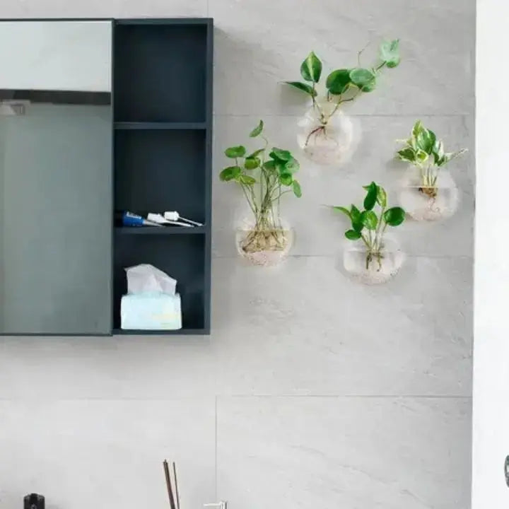 Buy 1 Get 1 Free | ClearNest™ — Elegant Glass Wall Planters Mivoza Deutschland