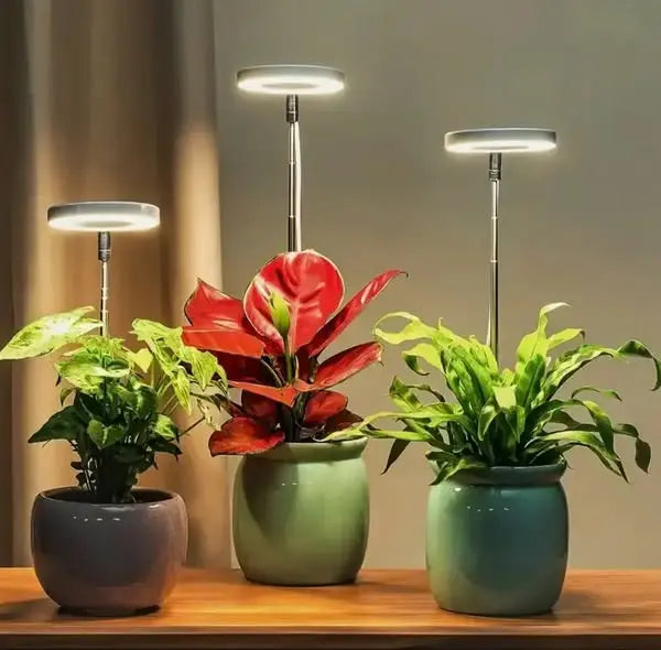 PlantGlow™ — True Sunlight for Indoor Growth Mivoza Deutschland