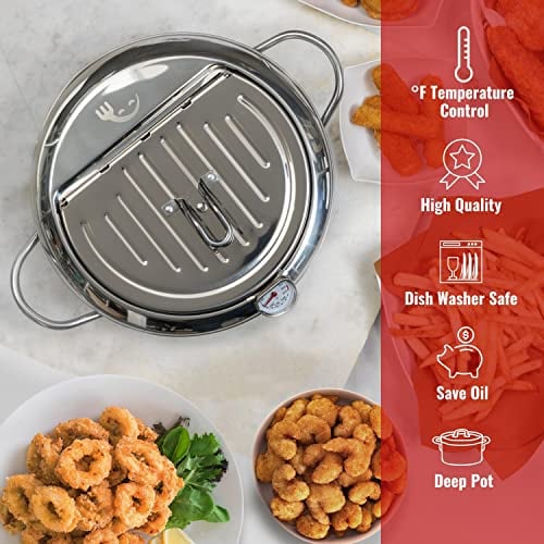 Stainless Steel Deep Fryer — Enjoy Crispy, Save Fat Homezys