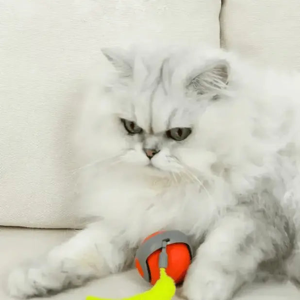 🔥Interactive Electric Rolling Ball with Teasing Tail Zorenza