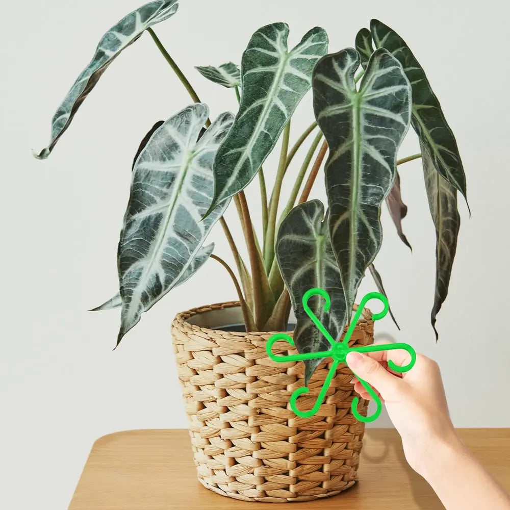 Plant Stem Stabilizer Set – For Healthy Growth & Secure Support Homezys
