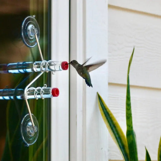 🔥Geometric Window Hummingbird Feeder🐦 Zorenza