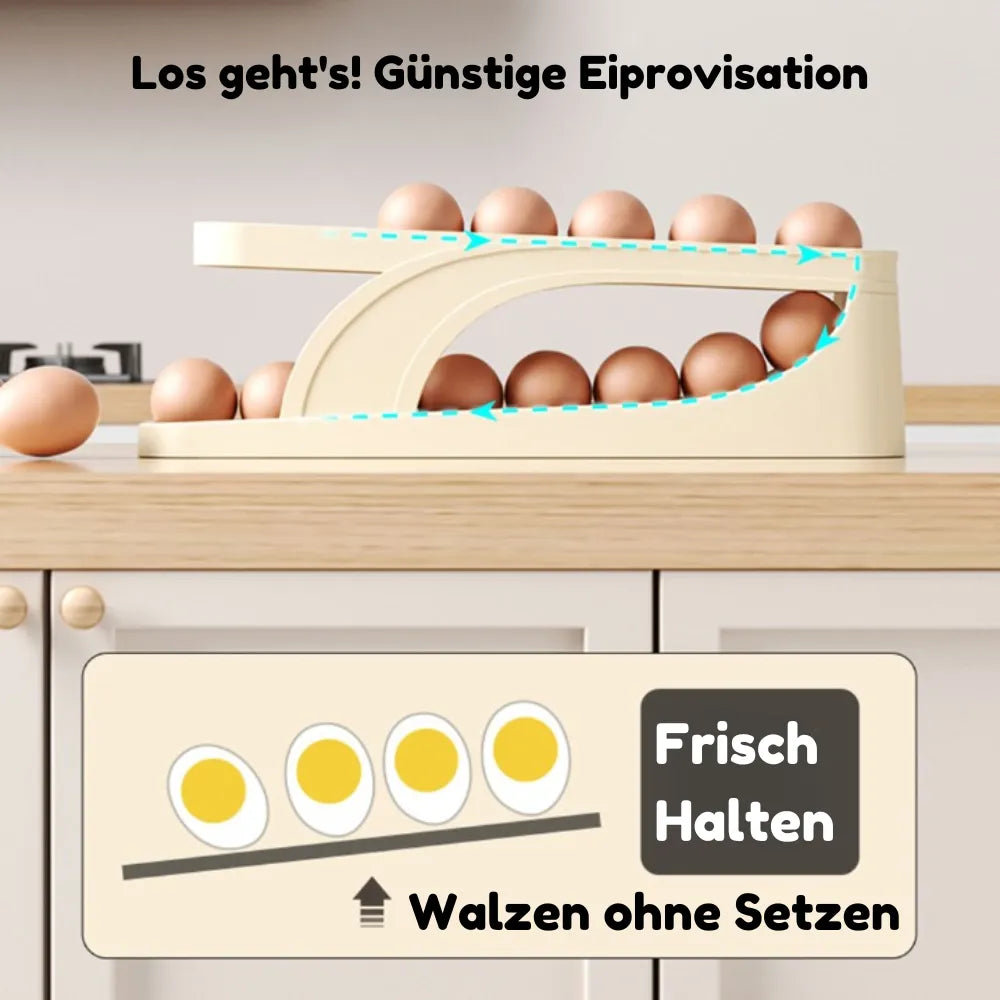 Egg Storage Rack – Space-Saving Egg Storage with Easy Access Homezys