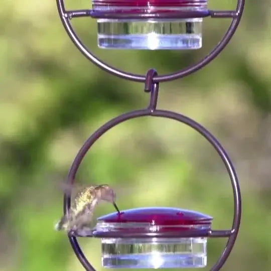 🎉Slim hummingbird feeder Zorenza