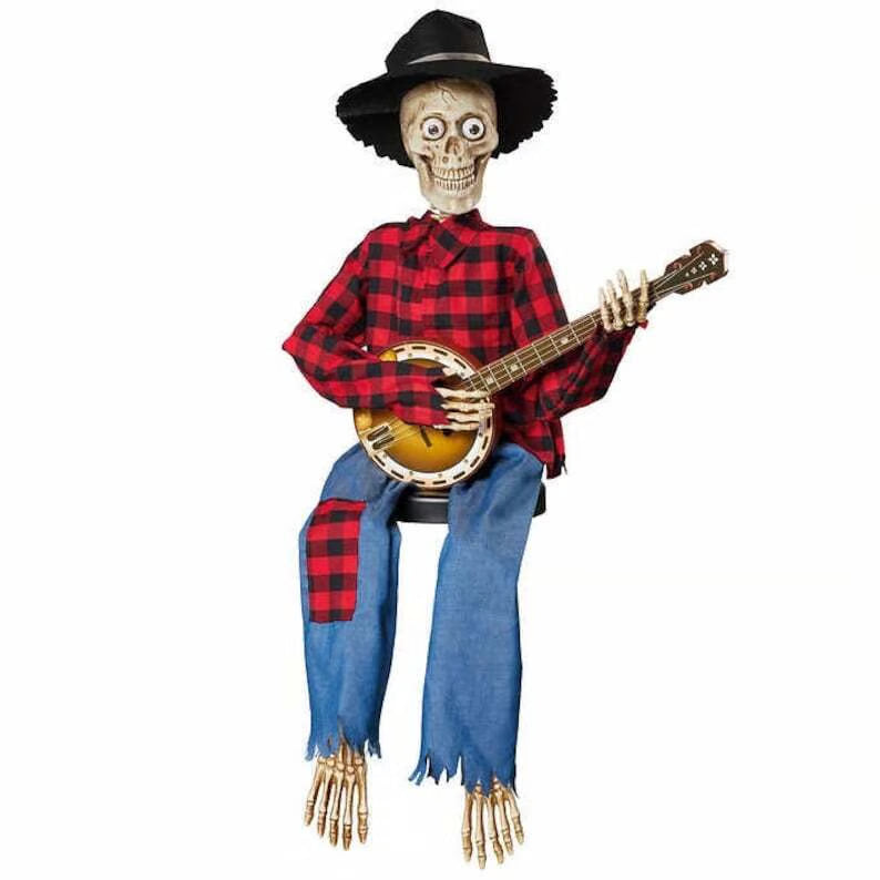 Animated Banjo Duo — Brings Unforgettable Celebration Joy Homezys