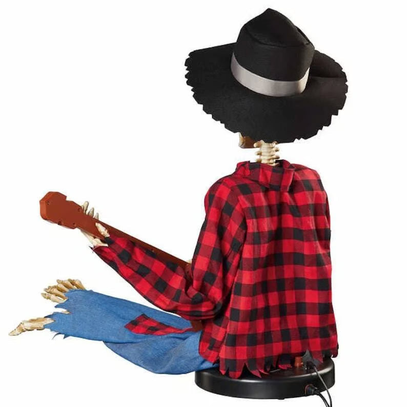 Animated Banjo Duo — Brings Unforgettable Celebration Joy Homezys