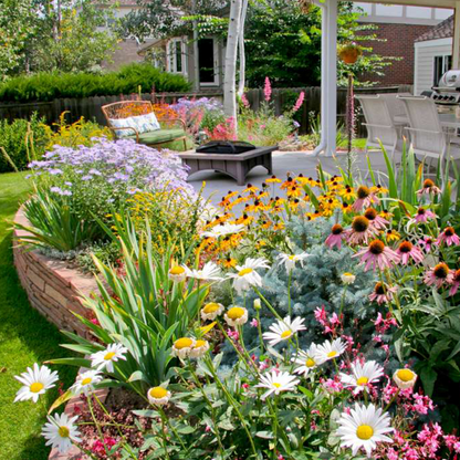 1000 Seeds Perennial Flower Mix | 60+ Varieties for Year-Round Beauty & Biodiversity Homezys
