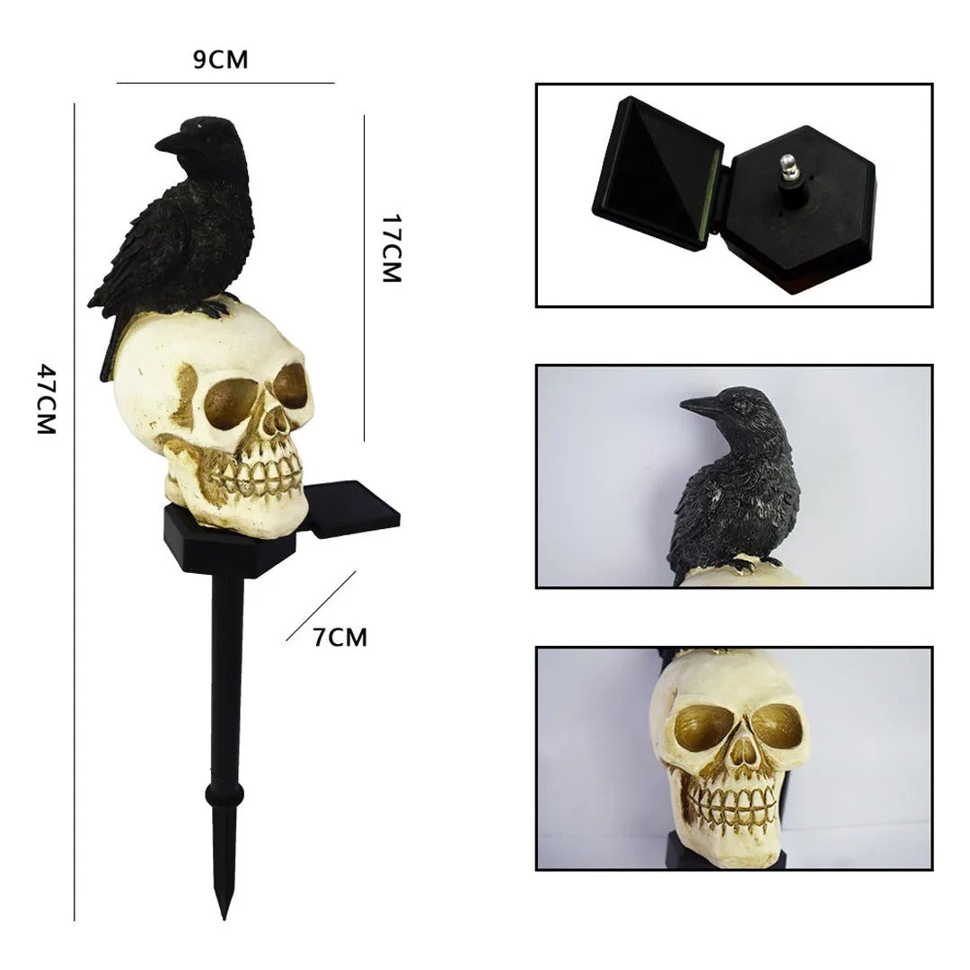 Solar Light Skull Decorative Halloween Crow Garden Waterproof Landscape Light Mivoza Deutschland